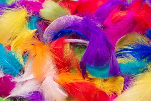 preen