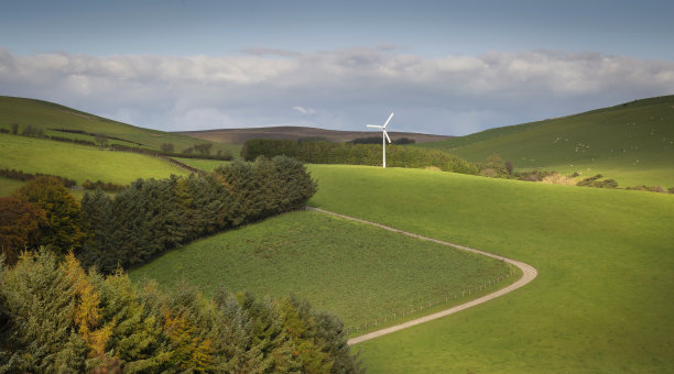 powys