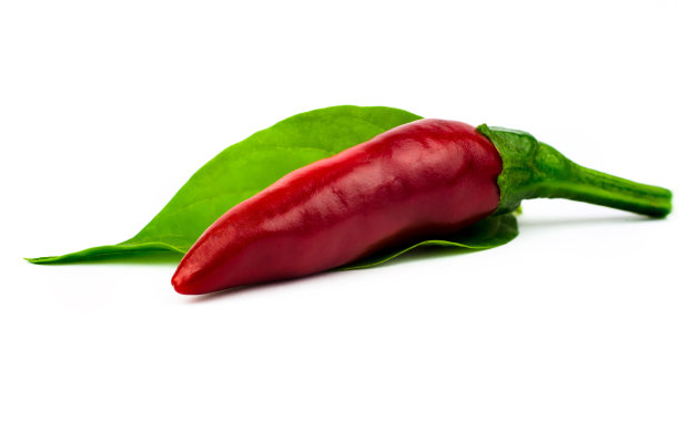 tabasco