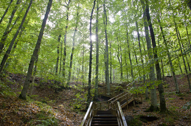 bolu