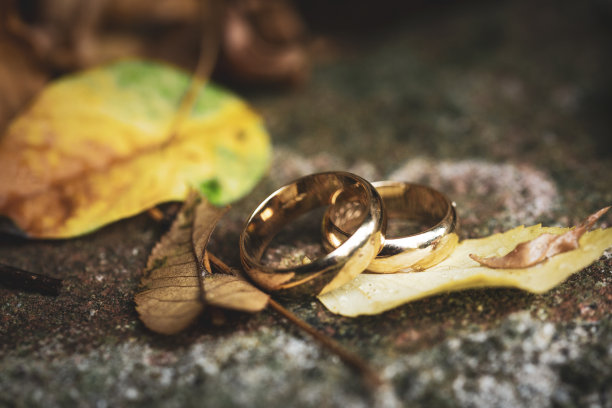 梦幻森林婚礼设计