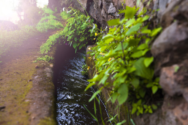 ditch