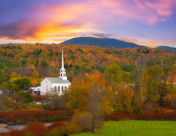 vt