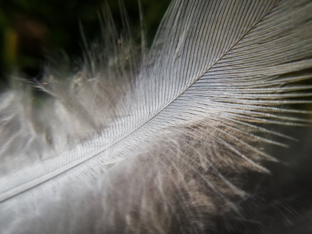 fragile