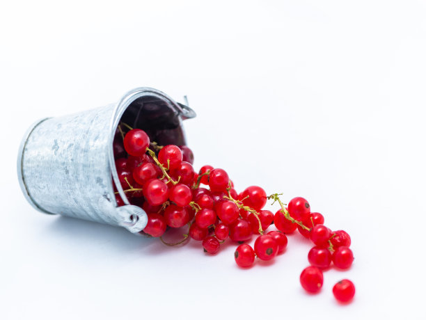 redcurrant