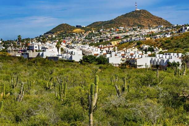 cabo