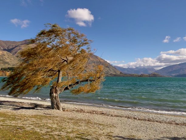 wanaka
