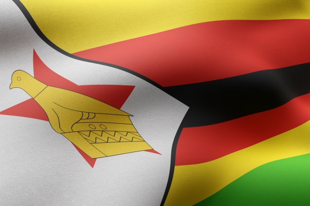 zimbabwean
