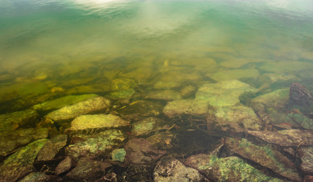 backwater