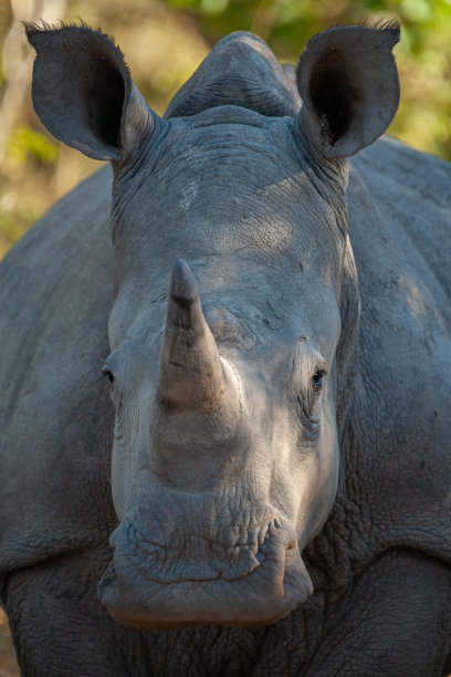 horned