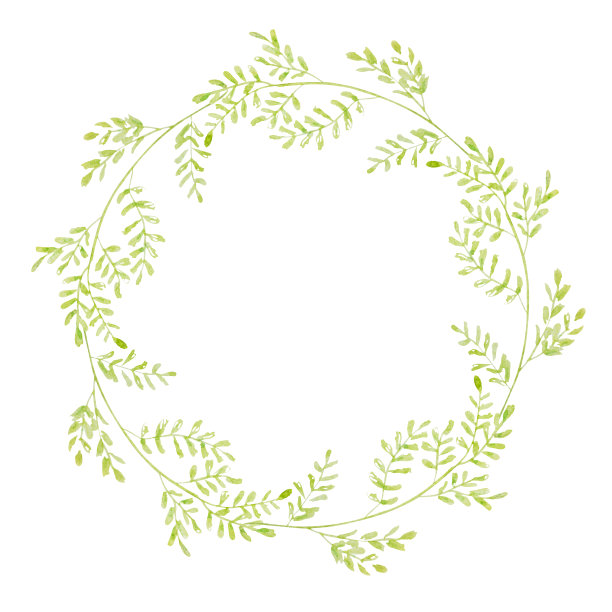 绿色精美圆形花纹图案