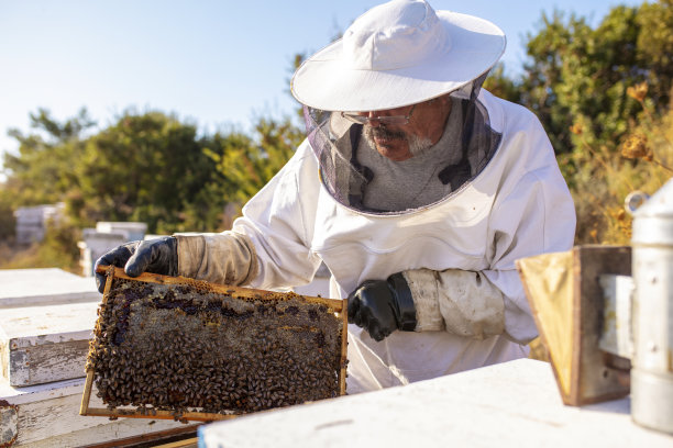 beekeeper