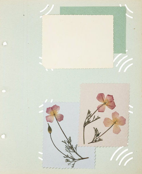 scrapbook