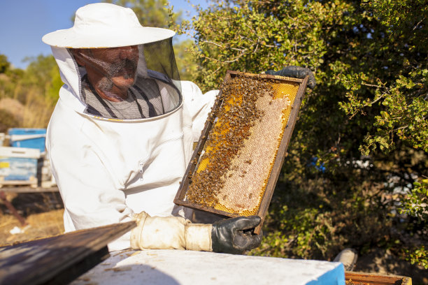 beekeeper
