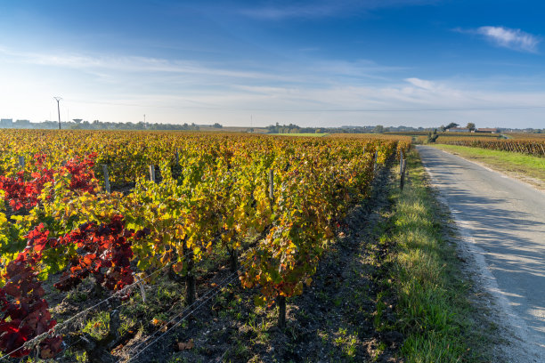 bordeaux