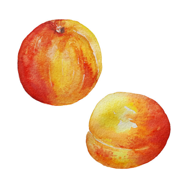 nectarines
