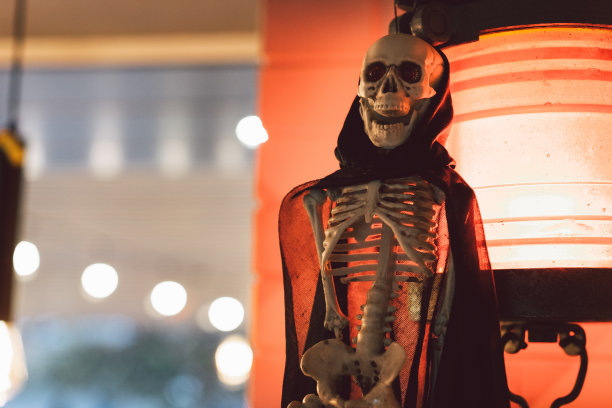 skeleton