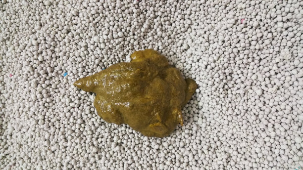 poo