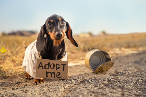 adopted