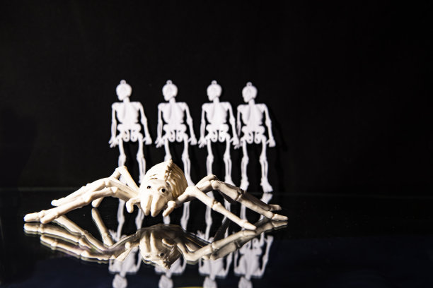 skeleton