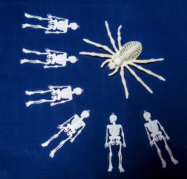 skeleton