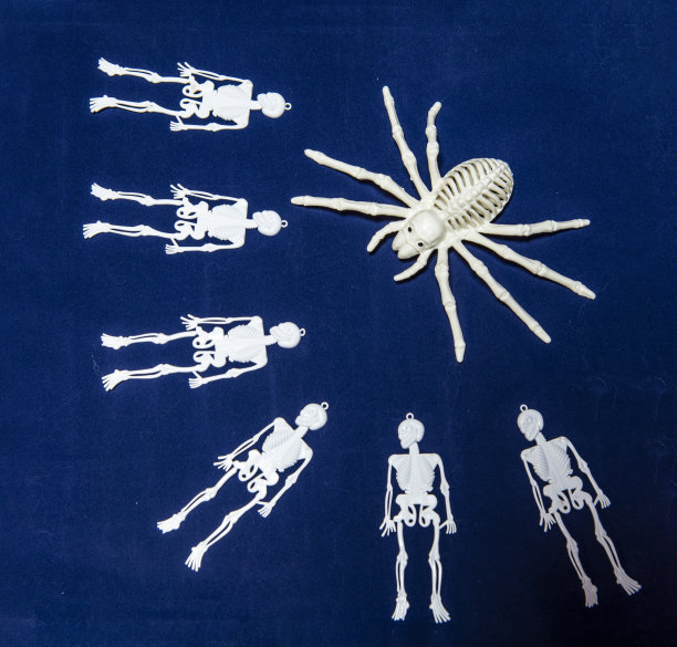 skeleton