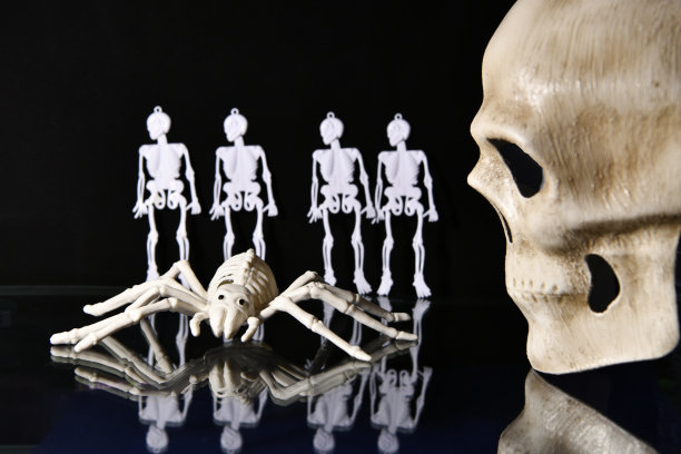 skeleton