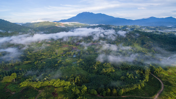 borneo
