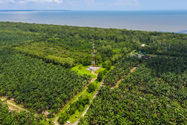 borneo