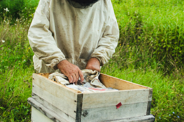 beekeeper