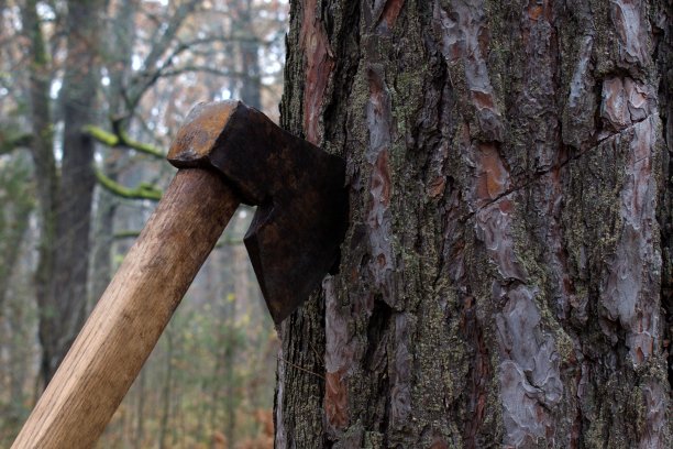 axe
