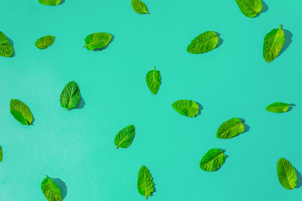 spearmint