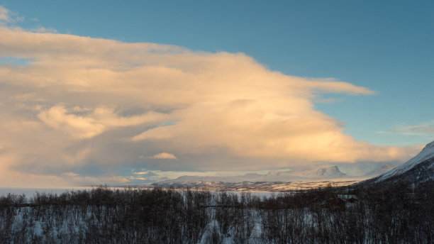 narvik