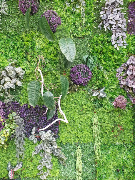 宾馆装饰植物墙