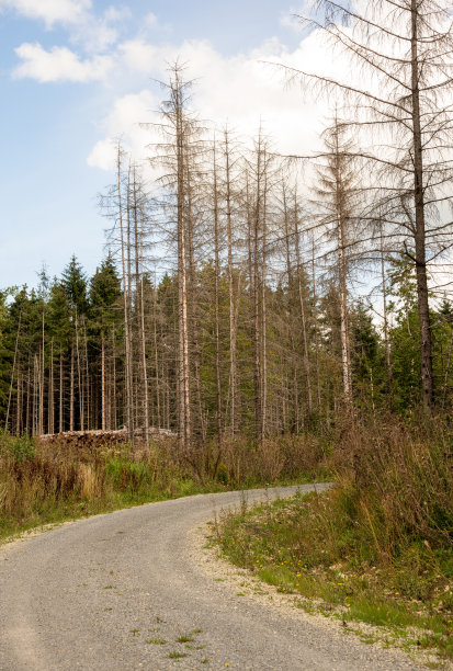 rhön