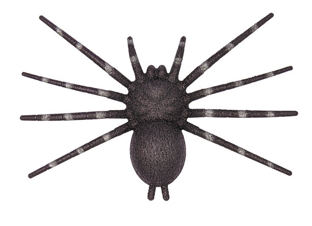 arachnid