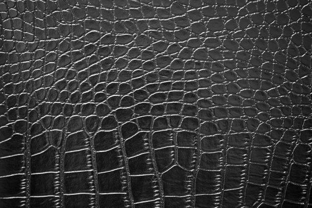 鳄鱼皮纹