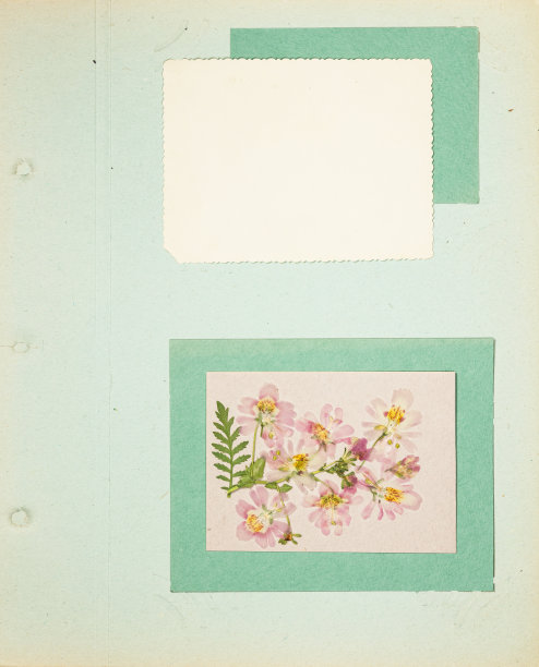 scrapbook