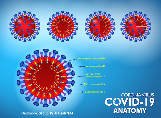 coronavirus