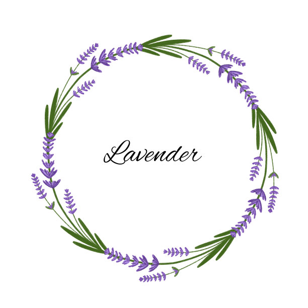 精美紫色绿色圆形花纹图案