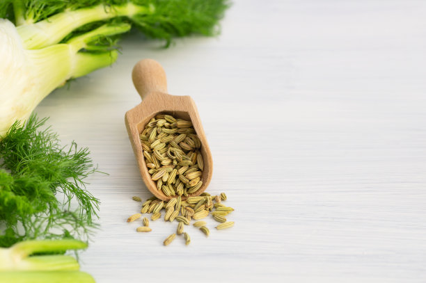 fennel