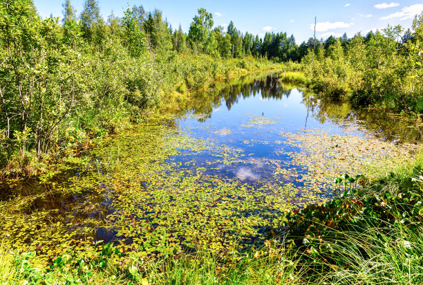 fen