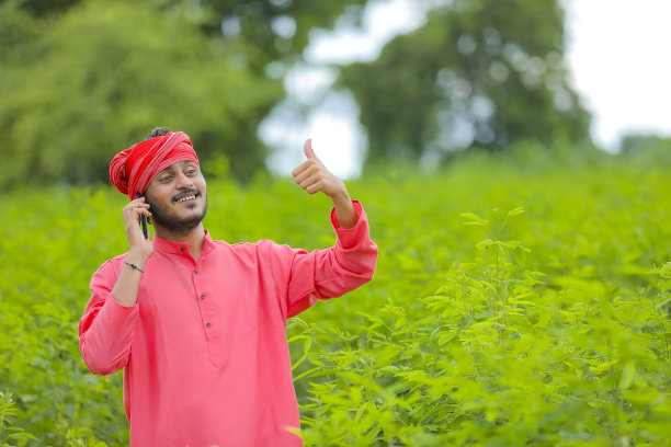 daal