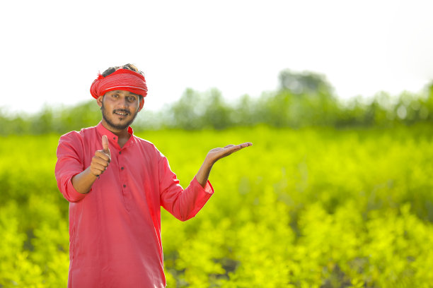 dhal