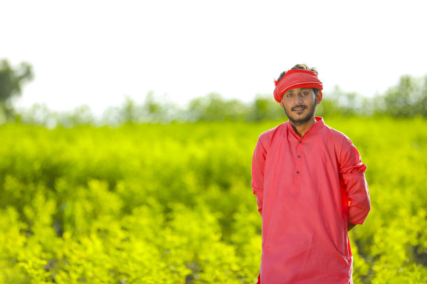 dhal