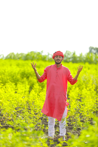 dhal