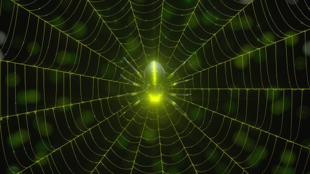 红web