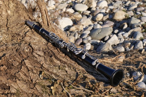 clarinet