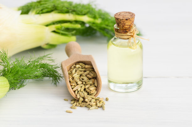 fennel