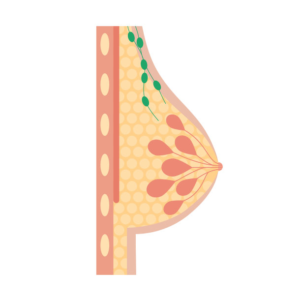 breast